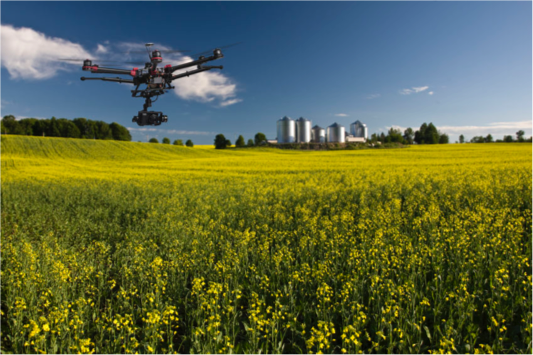 An artist's rendering of a drone spraying a sunflower crop