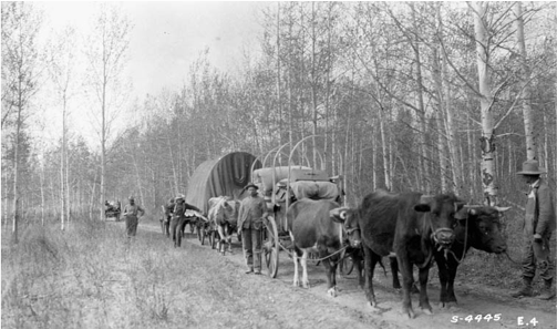 Settlers on the trail, north of Edmonton, 1910